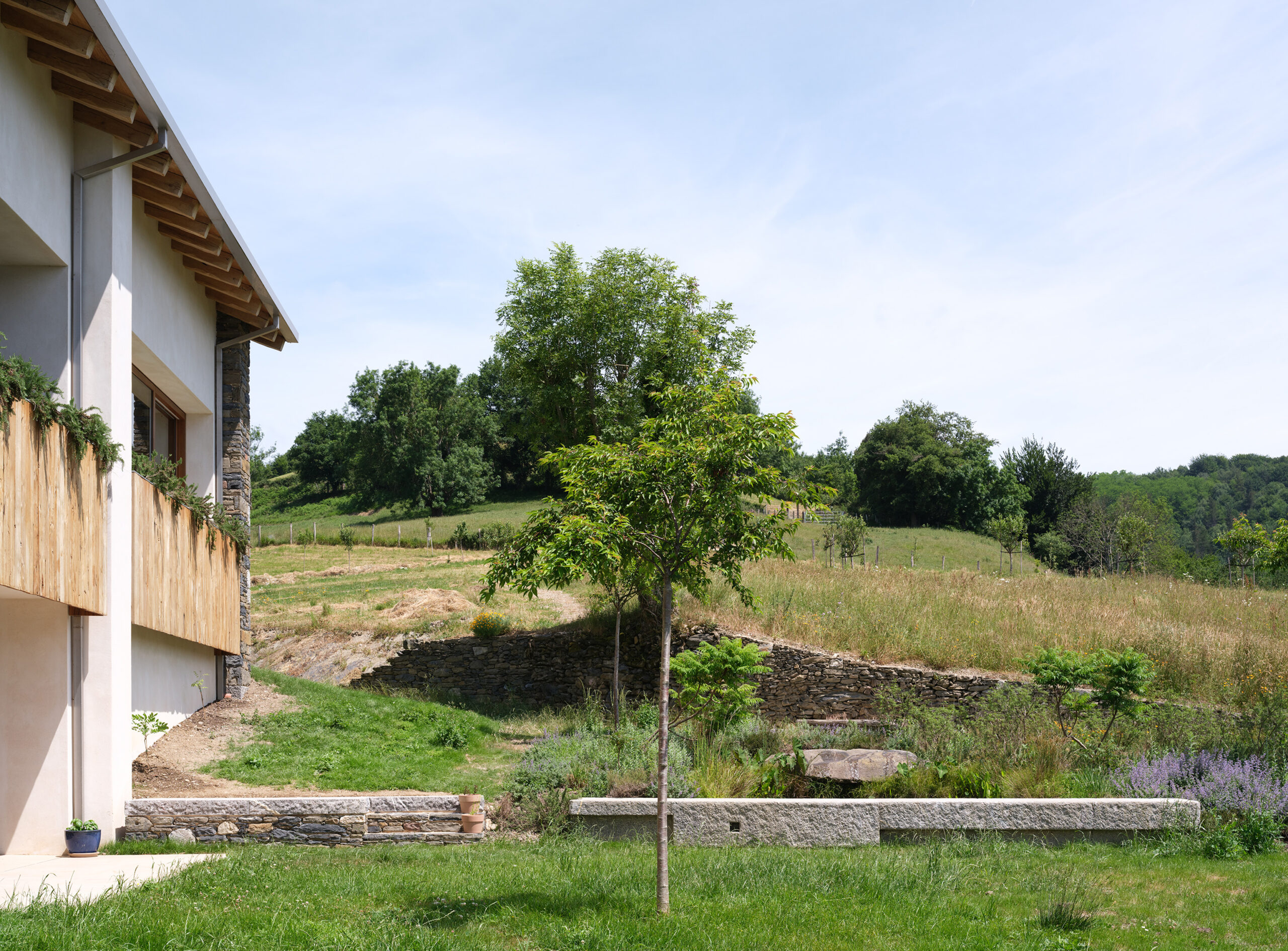 Basque Farm Visual 37 zU-studio
