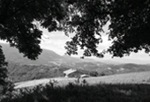 Basque Farm